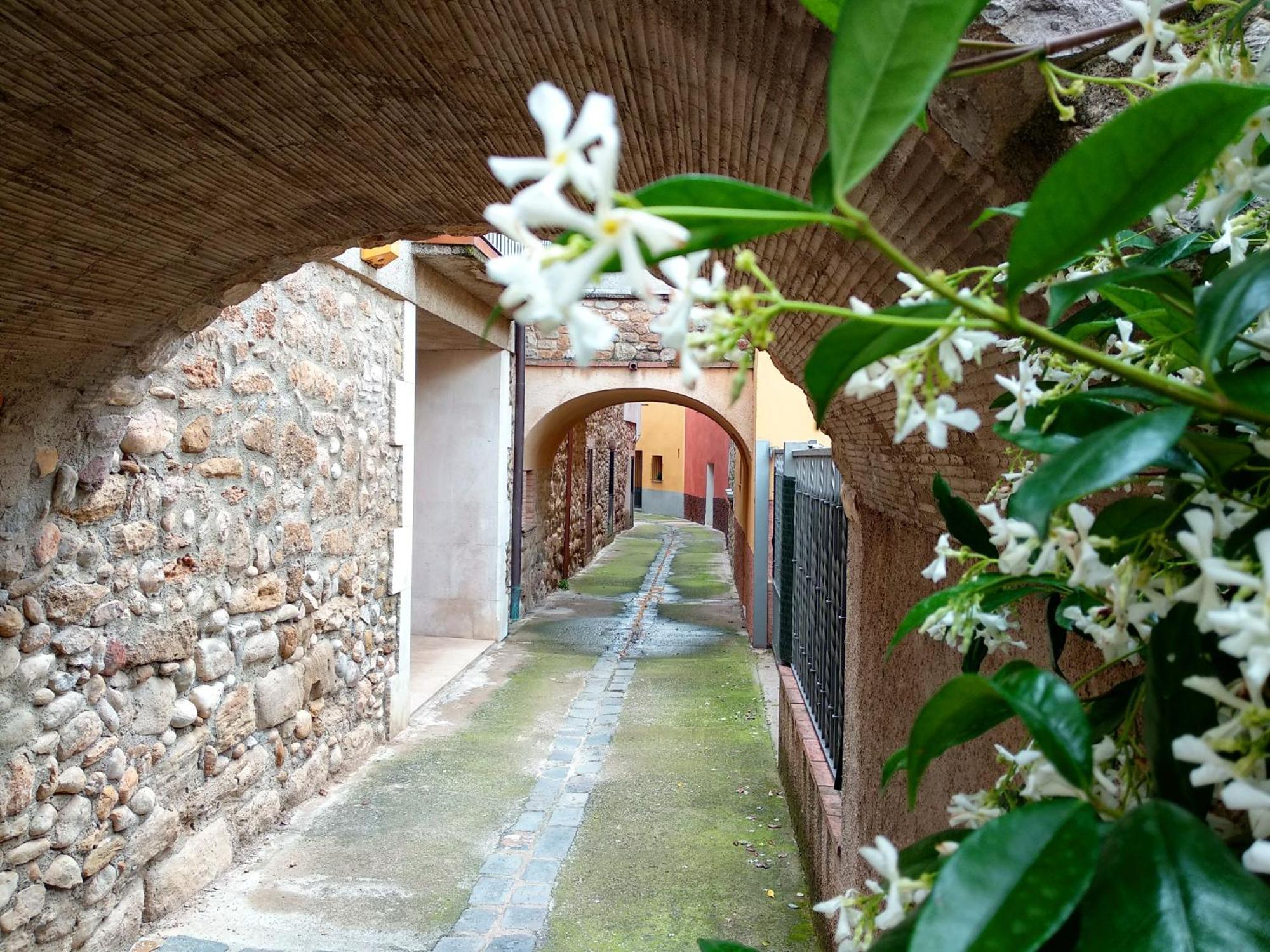 Can Girmas Casa De Turisme Rural Navata Kültér fotó
